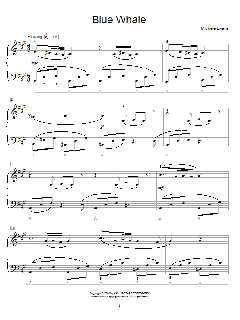 Blue Whale von Michele Evans (Download) 