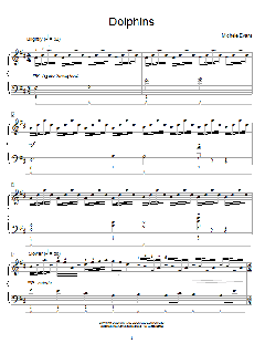 Dolphins von Michele Evans (Download) 