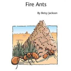 Fire Ants von Betsy Jackson (Download) 