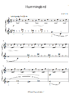 Hummingbird von Jennifer Linn (Download) 