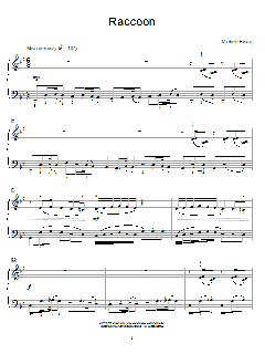 Raccoon von Michele Evans (Download) 