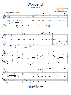 Wonderful von Stephen Schwartz (Download) 