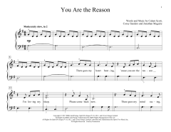 You Are The Reason von Calum Scott (Download) 