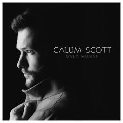 You Are The Reason von Calum Scott (Download) 