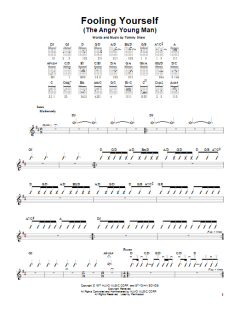 Fooling Yourself von Styx (Download) 