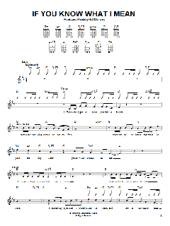 If You Know What I Mean von Neil Diamond (Download) 