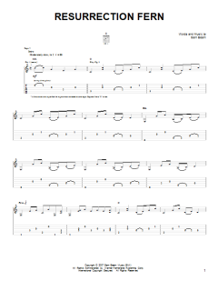 Resurrection Fern von Iron & Wine (Download) 