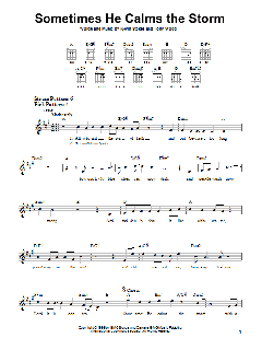 Sometimes He Calms The Storm von Scott Krippayne (Download) 