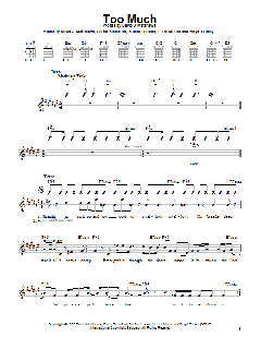 Too Much von Dave Matthews Band (Download) 