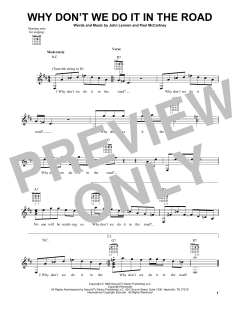 Why Don't We Do It In The Road von The Beatles (Download) 