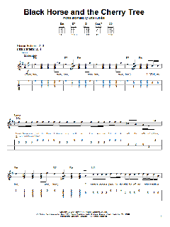 Black Horse And The Cherry Tree von KT Tunstall (Download) 