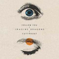 Follow You von Imagine Dragons (Download) 
