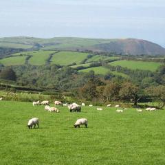 Greensleeves von Traditional English Folksong (Download) 