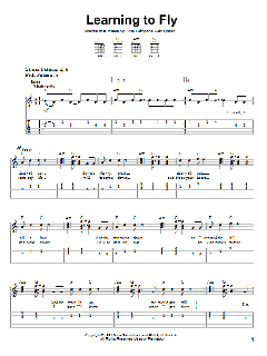 Learning To Fly von Tom Petty (Download) 