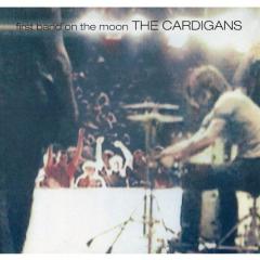 Lovefool von The Cardigans (Download) 