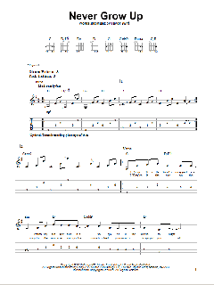 Never Grow Up von Taylor Swift (Download) 