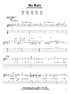 No Rain von Blind Melon (Download) 