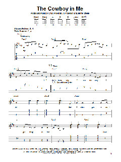 The Cowboy In Me von Tim McGraw (Download) 