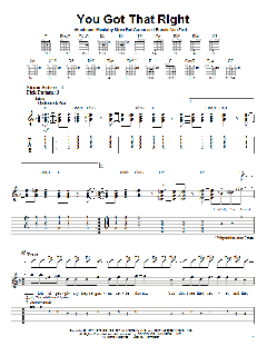 You Got That Right von Lynyrd Skynyrd (Download) 