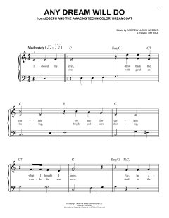 Any Dream Will Do von Tim Rice (Download) 