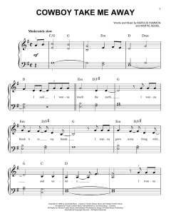 Cowboy Take Me Away von Marcus Hummon (Download) 