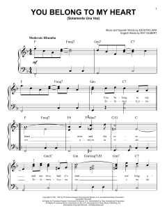 You Belong To My Heart von Ray Gilbert (Download) 