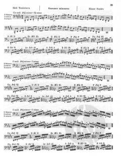 Tägliche Übungen von Louis R. Feuillard 