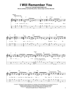 I Will Remember You von Sarah McLachlan (Download) 