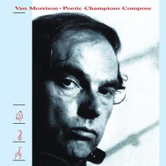 Someone Like You von Van Morrison (Download) 