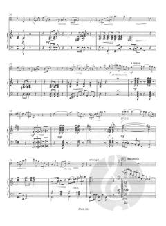 Concerto Primo von Richard Zettler 