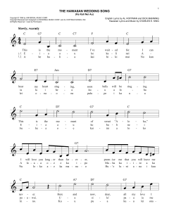 The Hawaiian Wedding Song von Andy Williams (Download) 