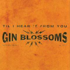 Til I Hear It From You von Gin Blossoms (Download) 