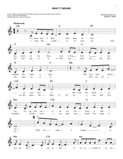 What It Means von Jeremy Camp (Download) 