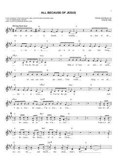 All Because Of Jesus von Casting Crowns (Download) 