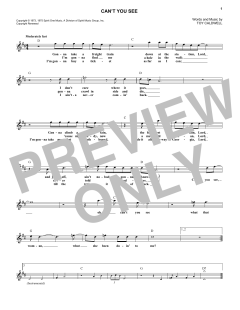 Can't You See von Marshall Tucker Band (Download) 