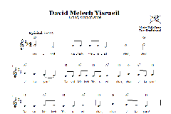 David Melech Yisraeil (Download) 