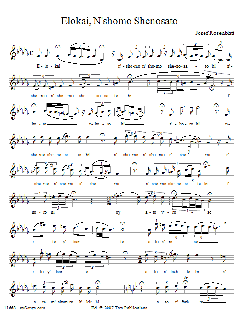 Elokai N'shomo Shenosato von Yossele Rosenblatt (Download) 