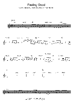 Feeling Good von Nina Simone (Download) 