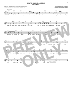 How To Handle A Woman von Alan Jay Lerner (Download) 