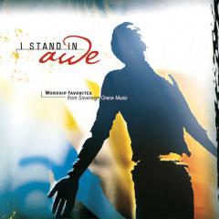 I Stand In Awe von Mark Altrogge (Download) 