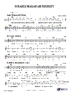 Israeli Hakafah Medley von Rabbi Shlomo Carlebach (Download) 