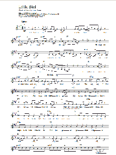 Little Bird von Annie Lennox (Download) 