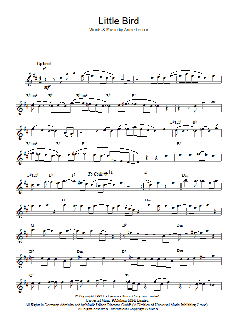 Little Bird (Download) 
