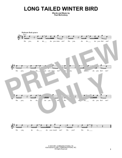 Long Tailed Winter Bird von Paul McCartney (Download) 