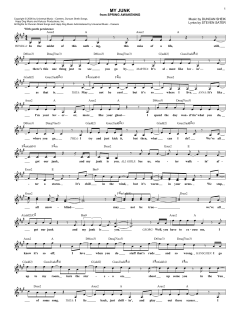 My Junk von Duncan Sheik (Download) 