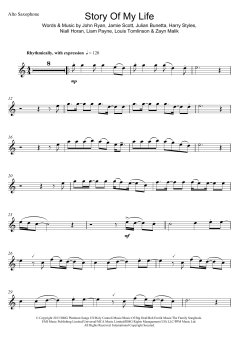 Story Of My Life von One Direction (Download) 