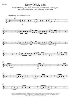 Story Of My Life von One Direction (Download) 