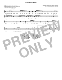 The Hokey Pokey von Larry LaPrise (Download) 