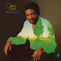 The Ironside Theme von Quincy Jones (Download) 