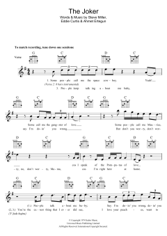 The Joker von The Steve Miller Band (Download) 